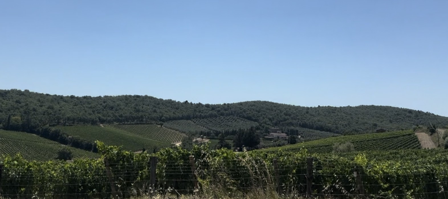 Chianti aretino